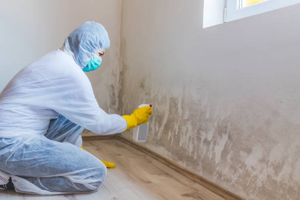 Licensed Commercial Mold Remediation service in Emporia, VA - WQB Mold Removal
