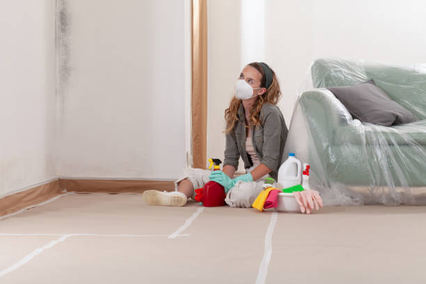 Reliable Commercial Mold Remediation contractor in Emporia, VA by WQB Mold Removal